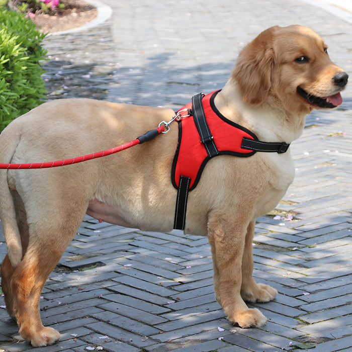 Reflective Adjustable Dog Harness